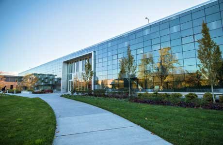 modern glass building and trees